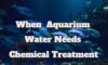 When And How Much Aquarium Water Needs Chemical Treatment