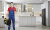 Local Plumbers for Your Plumbing Maintenance in Caboolture