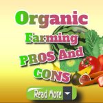 Organic Farming: Key Advantages and Disadvantages Explained