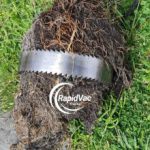 Vac Trucks: Clearing Blocked Drains from Tree Roots