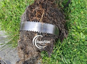 Vac Trucks: Clearing Blocked Drains from Tree Roots