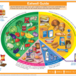 Supplements for a Balanced Diet: Your Essential Guide