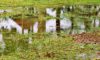 Stormwater Drain Solutions in Wollongong: Key Causes Explained
