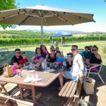 Yarrawood Estate: Discover Your Perfect Wine Experience