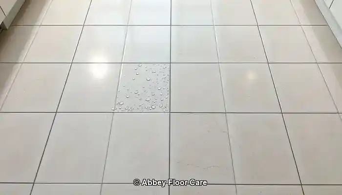 Grout Sealing: Top Methods for Long-Lasting Protection