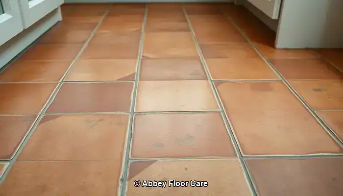 Identifying the Reasons for Quick Dirt Accumulation on Terracotta Floors