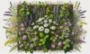 Herbal Remedies: Essential Guide for UK Residents